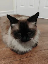 Die-cut photo pillow shaped like a cat
