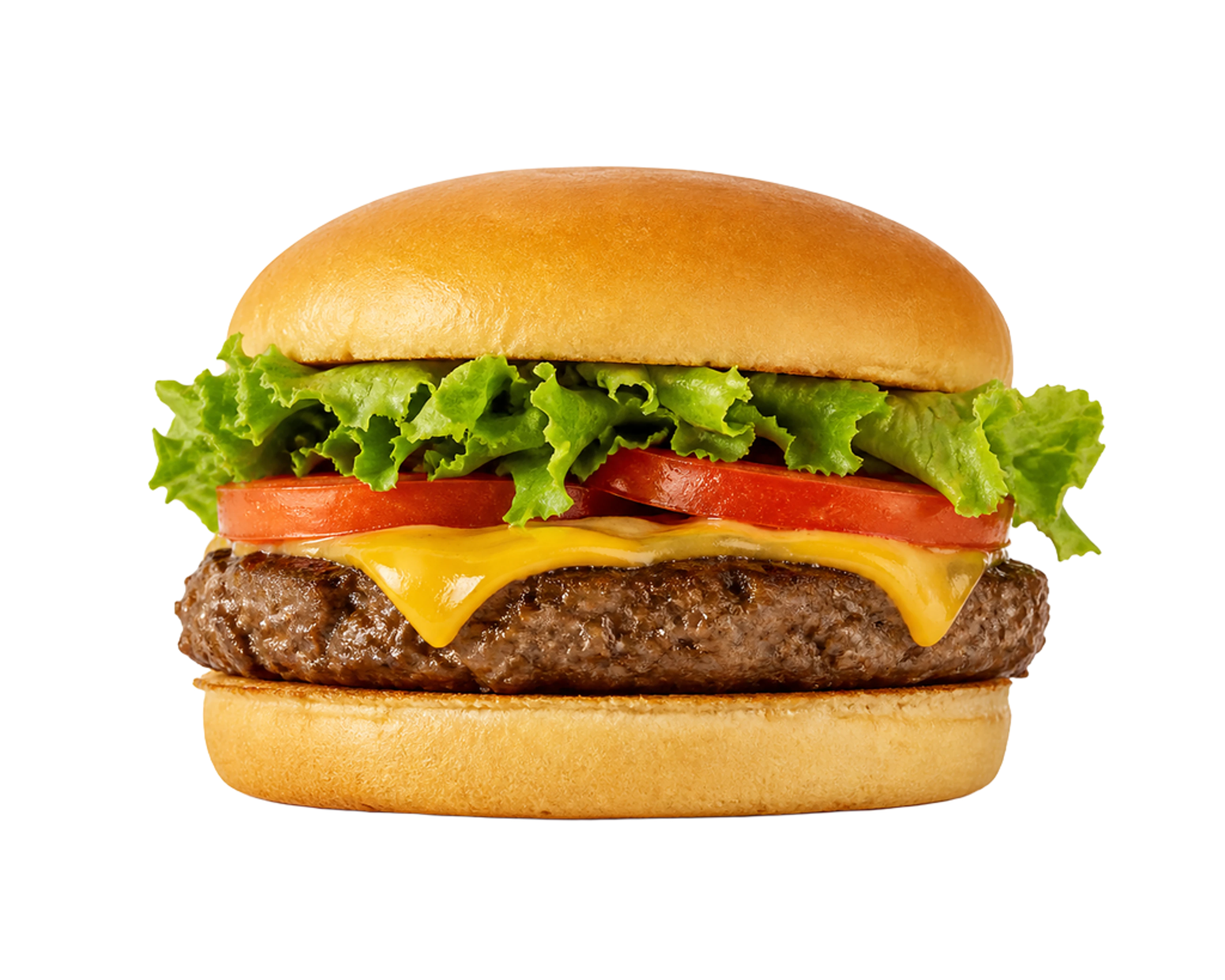 La ilustración de Hamburguesa impresa en este cojín