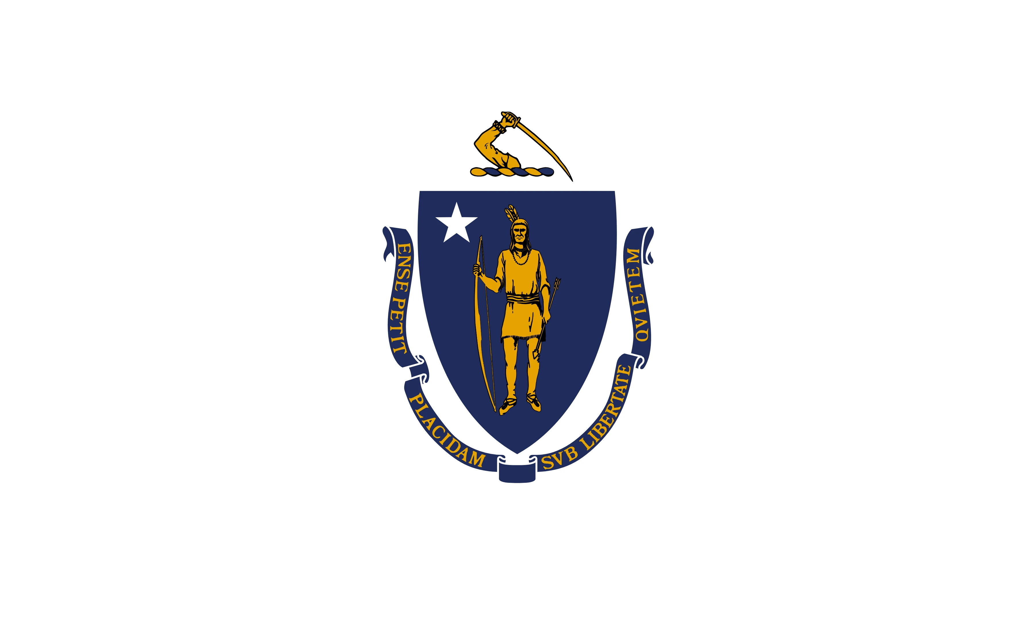 Massachusetts 깃발을 쿠션 면으로 그린 그림