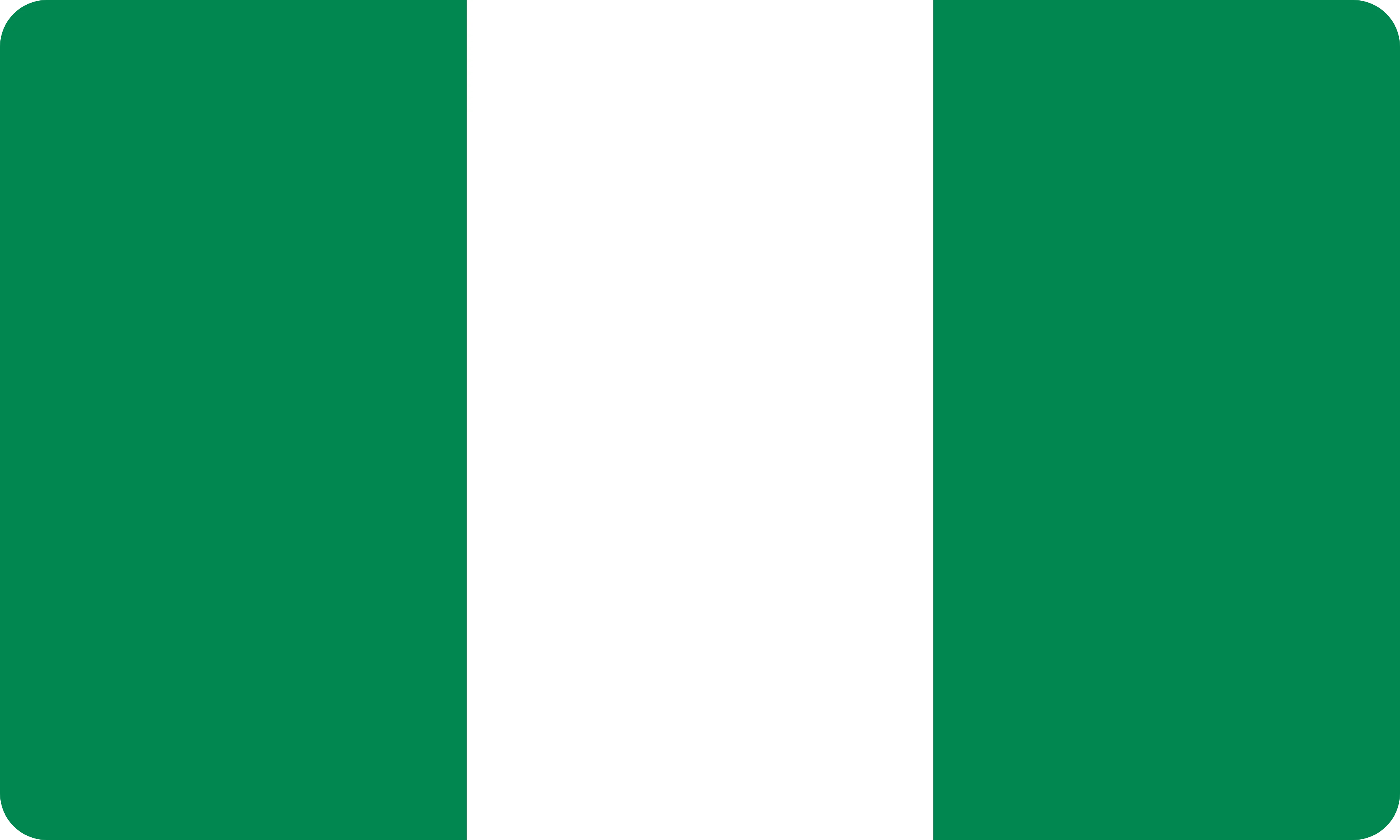 Le drapeau de Nigeria dessiné comme face du coussin
