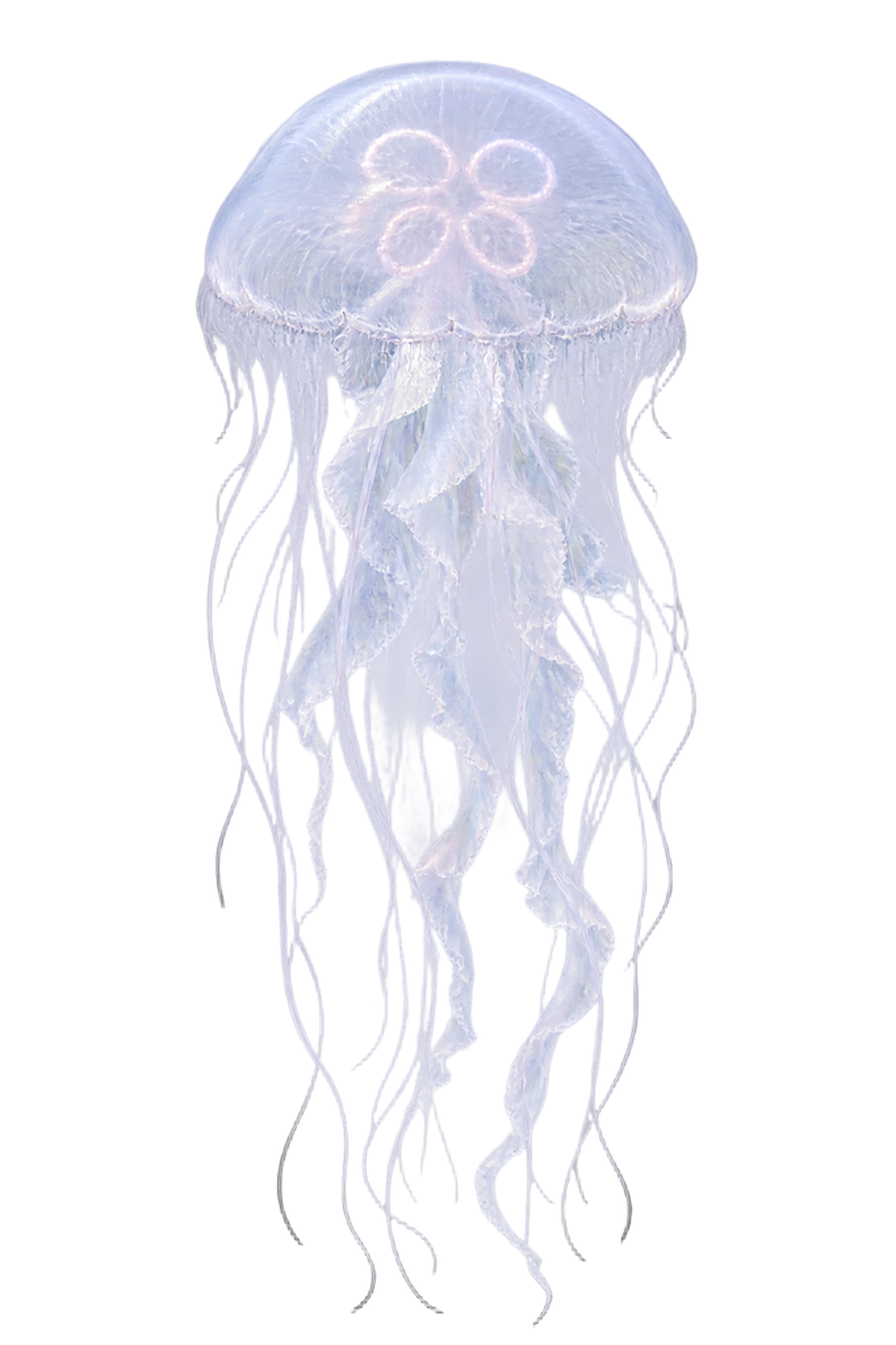 이 쿠션에 인쇄되는 해파리 그림