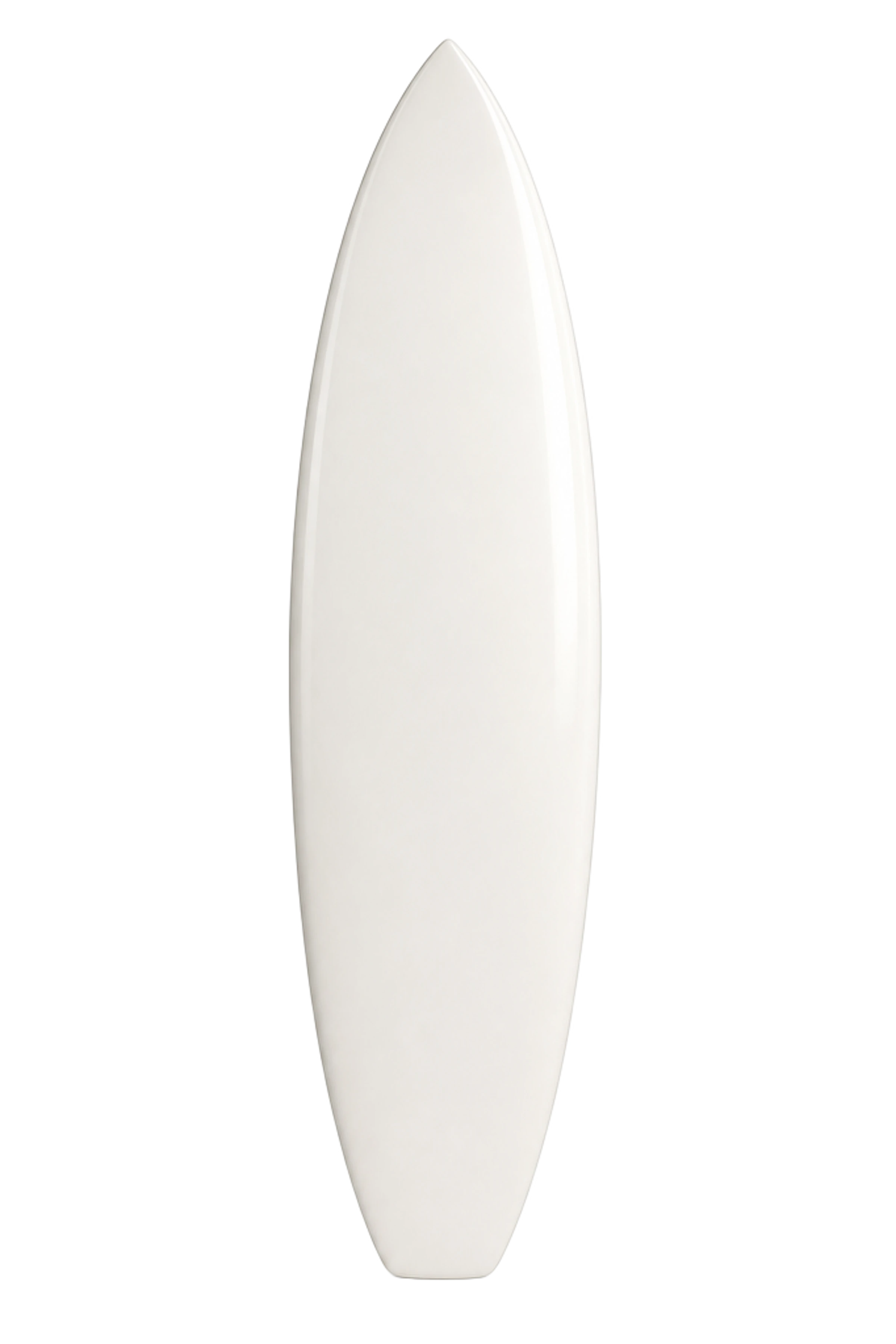 L'illustration de Planche de surf imprimée sur ce coussin